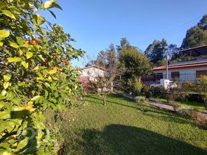 Image 32 - 896968