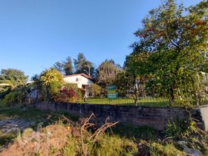Image 36 - 896968