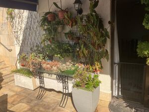 Image 33 - 897293