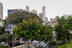 Image 33 - 897327