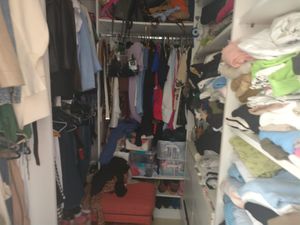 Image 13 - 897413