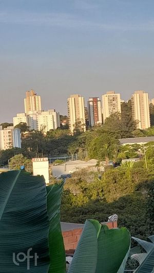 Image 10 - 897460