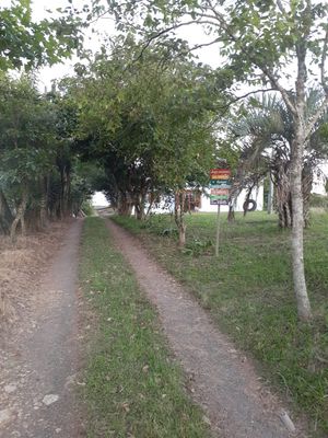Image 20 - 897779