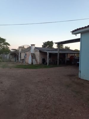 Image 19 - 897779