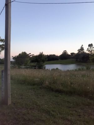 Image 18 - 897779