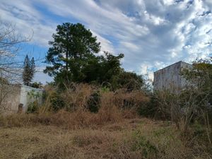 Image 1 - 897813