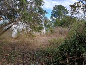 Image 9 - 897813