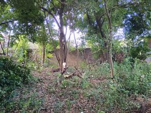 Image 13 - 897813