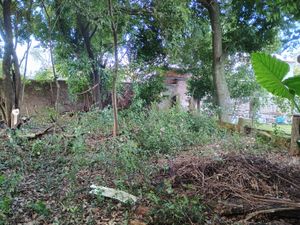 Image 7 - 897813
