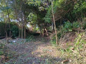 Image 11 - 897813