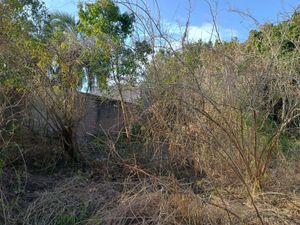 Image 4 - 897813