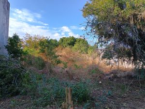 Image 3 - 897813