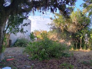 Image 8 - 897813