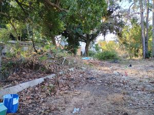 Image 15 - 897813