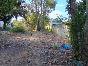 Image 5 - 897813