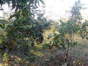 Image 4 - 898035