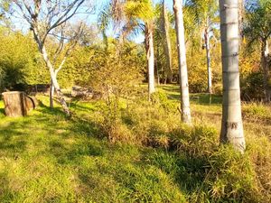 Image 5 - 898035