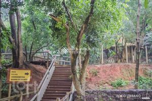 Image 9 - 898053