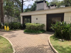 Image 17 - 898249