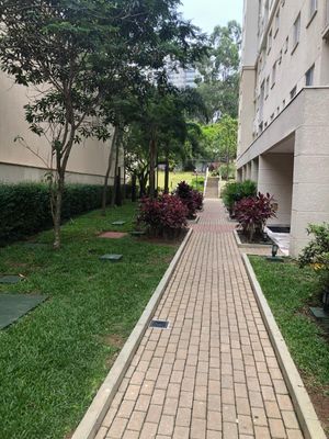 Image 12 - 898249