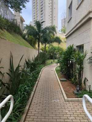 Image 16 - 898249