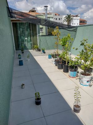 Image 27 - 898365
