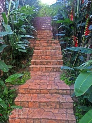 Image 89 - 898437