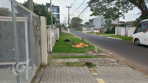 Image 8 - 898709