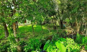 Image 8 - 898711