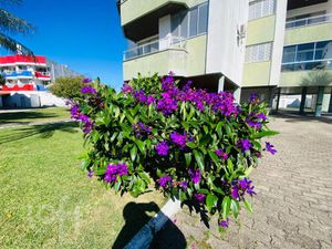 Image 4 - 898790