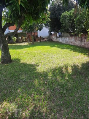 Image 7 - 898900