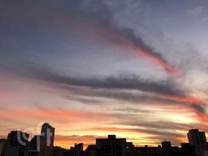 Image 31 - 898912
