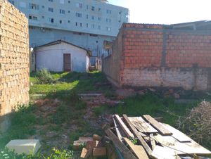 Image 5 - 898938