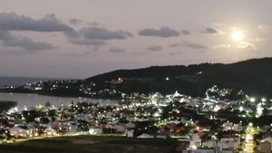 Image 9 - 898968
