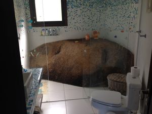 Image 4 - 898968