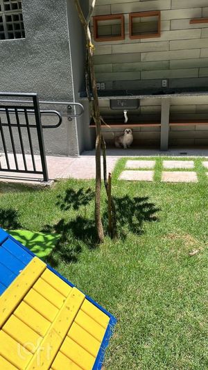 Image 18 - 899006