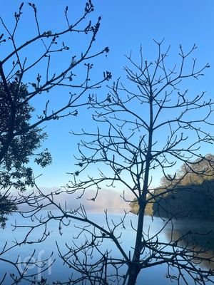 Image 17 - 899032