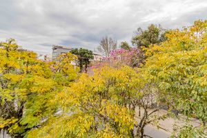 Image 16 - 899069