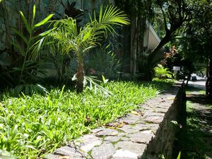 Image 26 - 899350