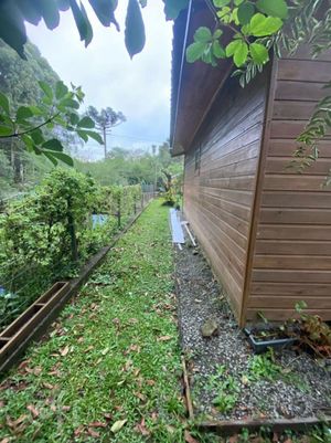 Image 8 - 899404