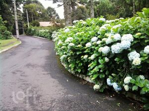 Image 15 - 899422