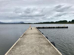 Image 11 - 899522