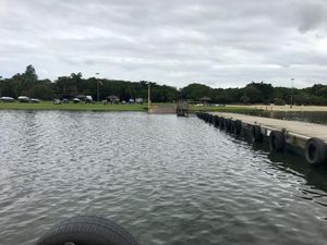 Image 9 - 899522