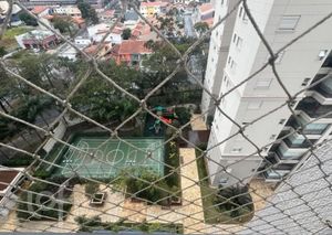 Image 12 - 899548