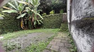 Image 5 - 899656