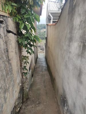 Image 2 - 899692