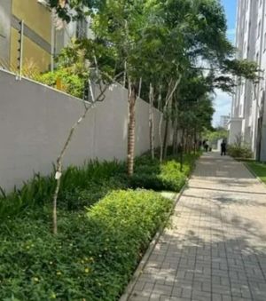 Image 0 - 899766
