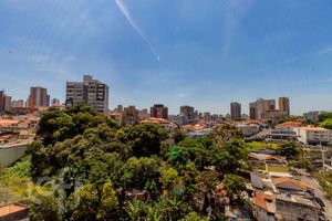 Image 17 - 900308