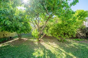 Image 14 - 900558