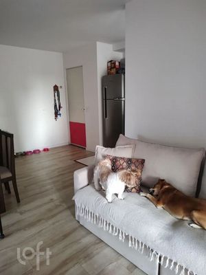 Image 11 - 900565